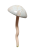34694 (17).png