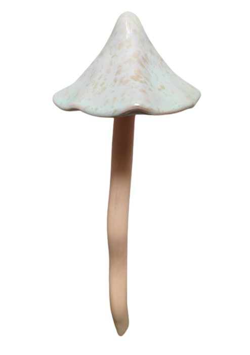 34694 (19).png