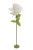 359CAN04169.jpg