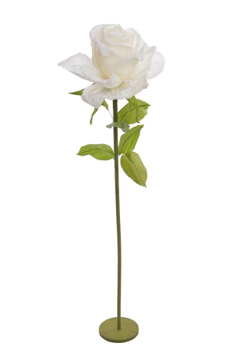 359CAN04169.jpg