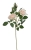 69bd0cff90634.jpg