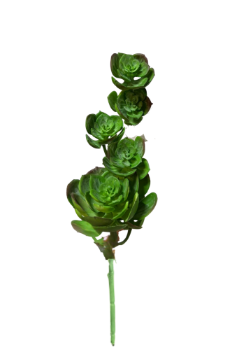 Projekt bez nazwy (67).png