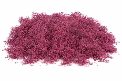 WhatsApp Image 2026-04-20 at 13.40.08.jpeg