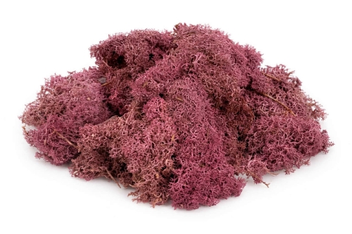 WhatsApp Image 2026-04-20 at 14.20.45.jpeg