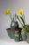 Verona-collection-2.jpg