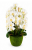 Screenshot 2026-05-08 at 12-49-49 WhatsApp.png