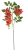 Screenshot 2026-05-08 at 13-02-59 Koralodrzew Canea.png