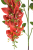 Screenshot 2026-05-08 at 13-03-28 69eb226d504af.jpg (obraz JPEG 799×1200 pikseli) — Skala (76%).png