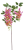 Screenshot 2026-05-08 at 13-06-20 Koralodrzew Canea.png