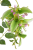 Screenshot 2026-05-08 at 13-40-46 Koralodrzew Canea.png
