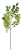 Screenshot 2026-05-08 at 13-40-37 Koralodrzew Canea.png