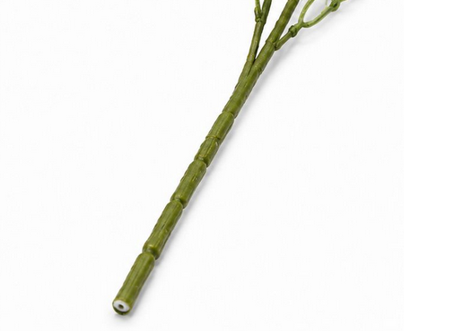 Screenshot 2026-05-08 at 13-59-54 WhatsApp.png