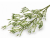 Screenshot 2026-05-08 at 13-59-43 WhatsApp.png