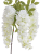 Screenshot 2026-05-08 at 14-40-43 Wisteria Canea.png