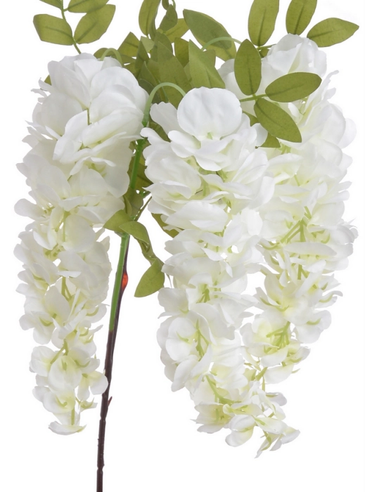 Screenshot 2026-05-08 at 14-40-43 Wisteria Canea.png