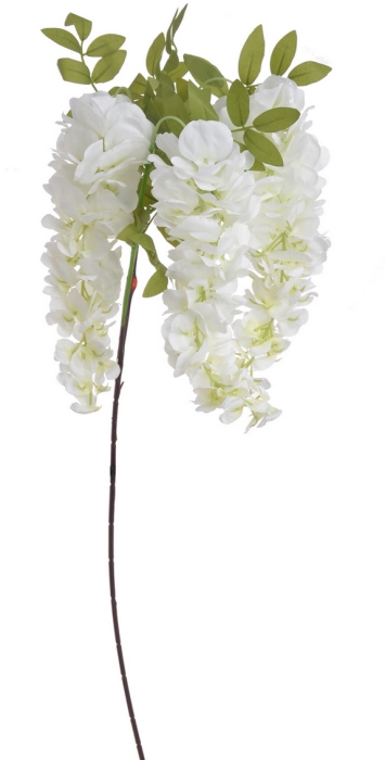 Screenshot 2026-05-08 at 14-41-45 Wisteria Canea.png
