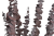 Screenshot 2026-05-08 at 16-48-45 Eukaliptus baby Canea.png