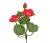 Screenshot 2026-05-08 at 18-18-26 Lilia wodna 2 1 Canea.png