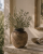 ChatGPT Image 12 maj 2026, 11_04_23.png