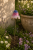ChatGPT Image 12 maj 2026, 11_58_53.png