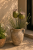 ChatGPT Image 12 maj 2026, 11_59_58.png