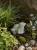 ChatGPT Image 12 maj 2026, 12_14_22.png