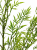ChatGPT Image 18 maj 2026, 11_52_01.png