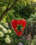 ChatGPT Image 18 maj 2026, 13_29_20.png