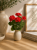 ChatGPT Image 21 maj 2026, 11_40_39.png
