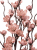 ChatGPT Image 22 maj 2026, 15_12_17.png