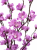 ChatGPT Image 22 maj 2026, 15_31_36.png