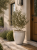 ChatGPT Image 22 maj 2026, 22_15_16.png
