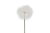 825362.jpg