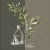 g13315015.jpg