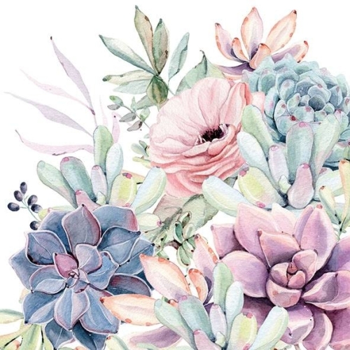 products-succulent_love_13313285.jpg