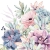 products-succulent_love_13313285.jpg