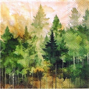 300px_10930m.jpg