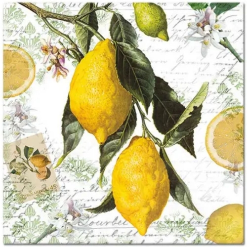 guardanapo_decoupage_ambiente_33x33cm_lemon_2_uni_ref_13314990_23375_1_30d243b75c681579410153cc0a972212.jpg