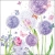 13319325_e5e4.webp