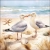 13320380_c9d7.webp