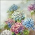13319560_49cb.webp