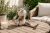 ChatGPT Image 12 cze 2026, 10_41_17.png