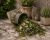 ChatGPT Image 12 cze 2026, 11_17_26.png