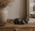 ChatGPT Image 12 cze 2026, 12_05_44.png