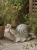 ChatGPT Image 12 cze 2026, 12_16_32.png