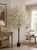 ChatGPT Image 12 cze 2026, 12_26_10.png