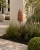 ChatGPT Image 15 cze 2026, 11_30_15.png