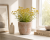 ChatGPT Image 15 cze 2026, 11_39_26.png