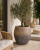 ChatGPT Image 15 cze 2026, 12_04_22.png