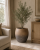 ChatGPT Image 15 cze 2026, 12_05_33.png
